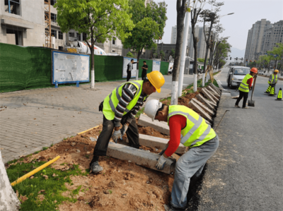 瓯海:打造“亚运标准”环境 启动道路公园广场绿化提升